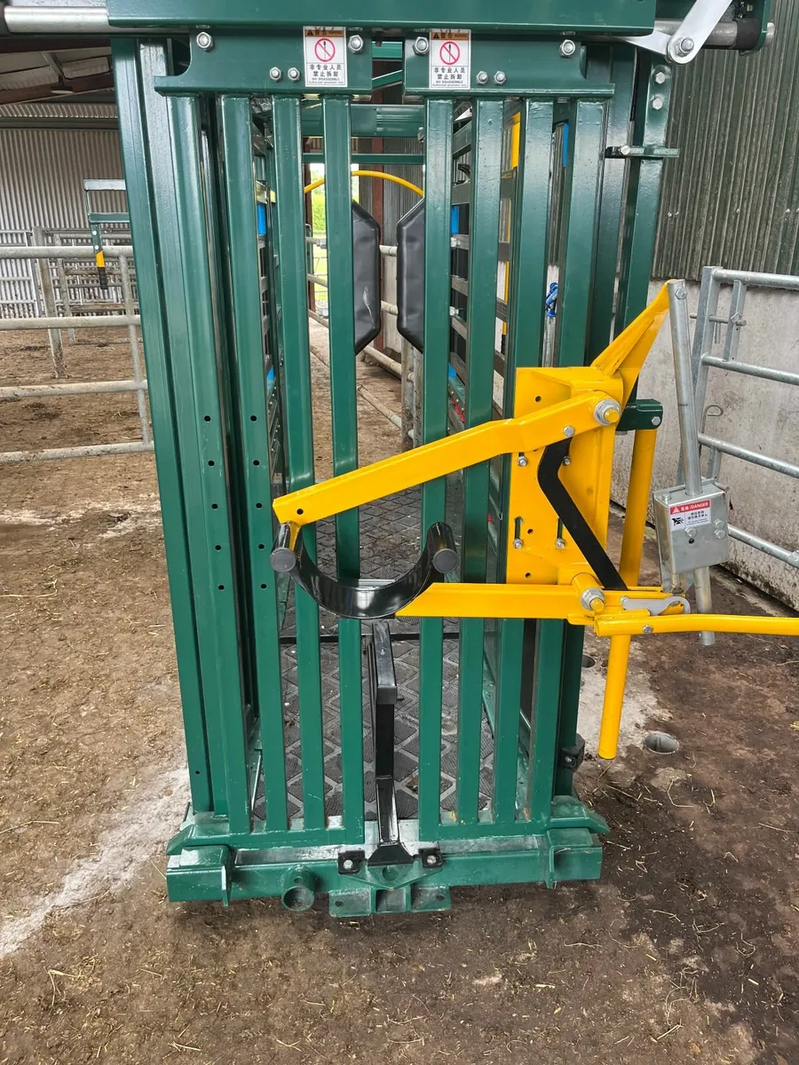 Cattle Crush - Image 3