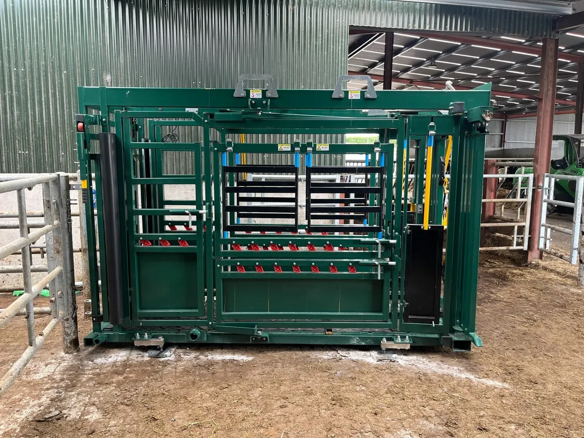 Cattle Crush - Image 1