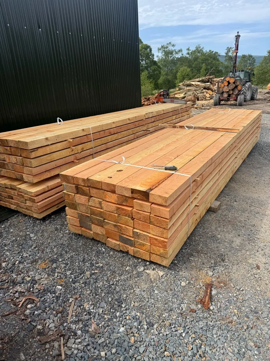 Larch stakes - Image 1