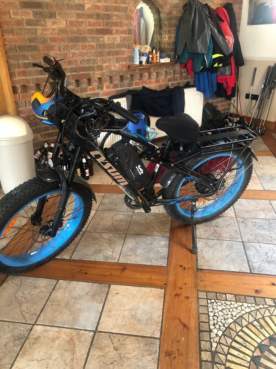 Big boy electric bick - Image 1
