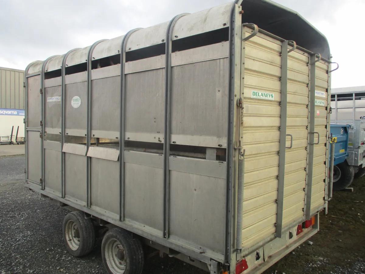 Ivor Williams 12ft livestock trailer - Image 3