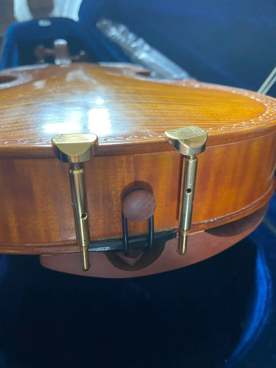 Viola - Image 2