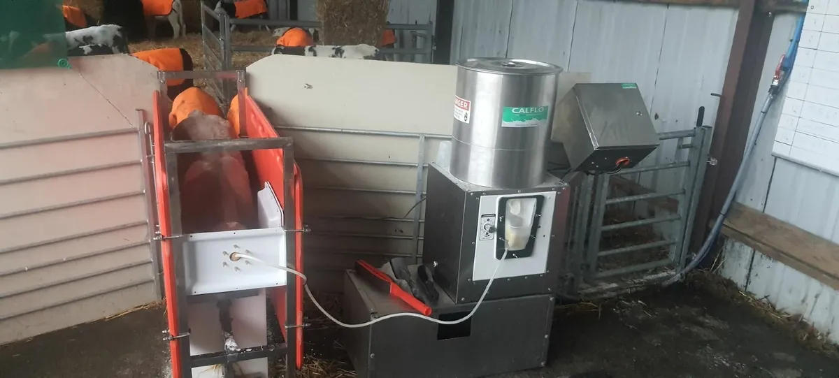 Automatic calf feeder - Image 1