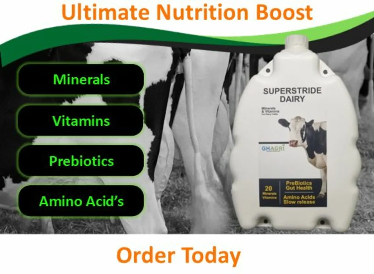 New Product !!!!!!Ultimate Nutrition Boost - Image 1