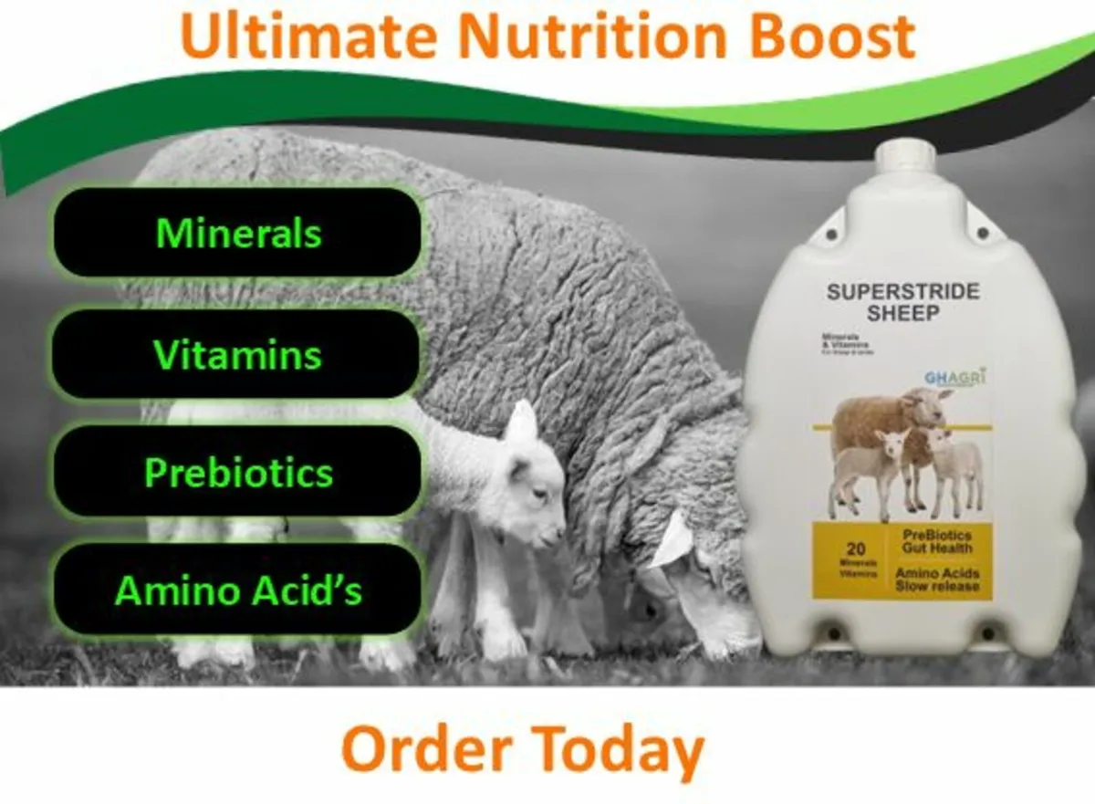 Ultimate Nutrition Boost Slow Release - Image 1