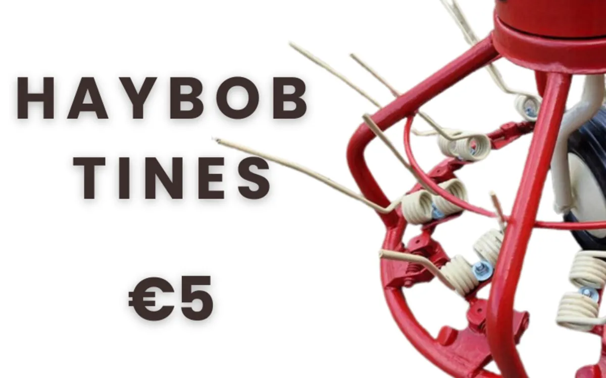 PZ Haybob Gates & Tines - Image 2