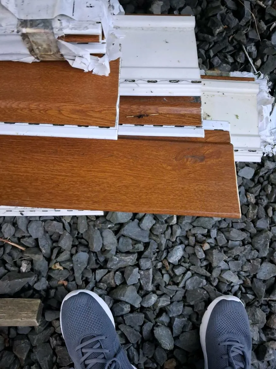 Shed clear out - Image 1