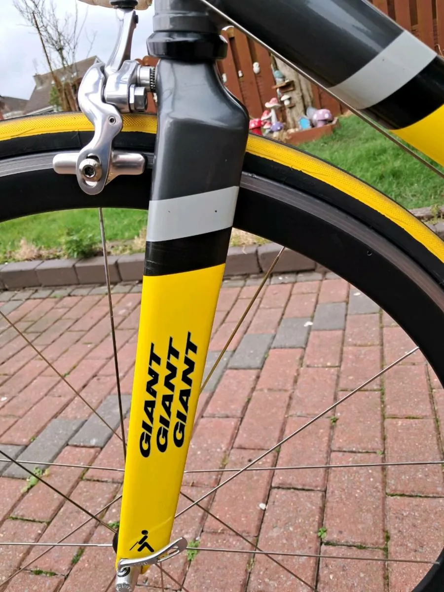 1998 giant tcr, once team  replica - Image 4