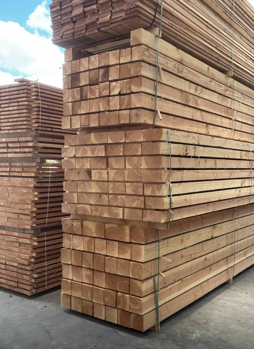 Douglas / Larch Beams - Image 3
