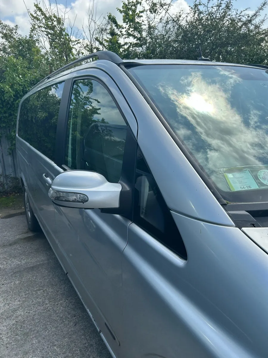 Mercedes Viano - Image 4