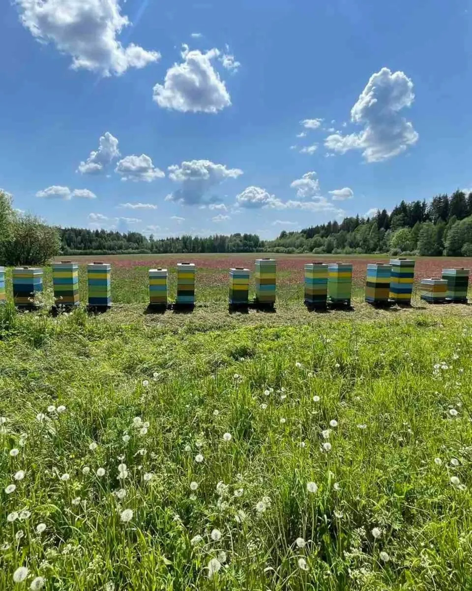 Raw Honey | Bee Pollen | Bee Bread in Bulk - Image 1