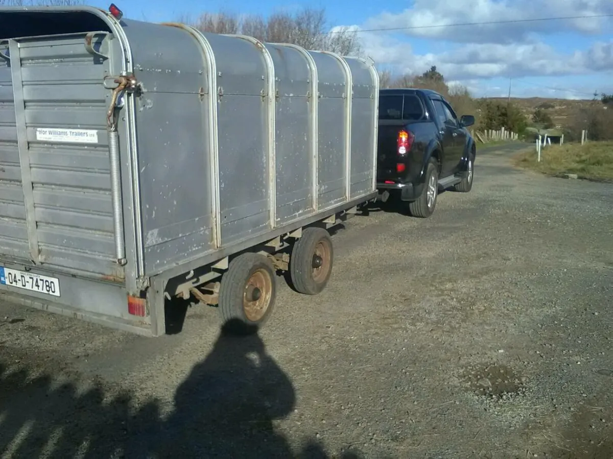 Ifor Williams 10 x 66'' - Image 1