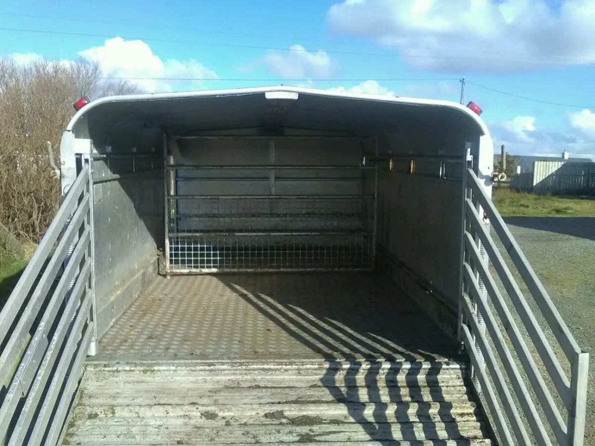 Ifor Williams 10 x 66'' - Image 3