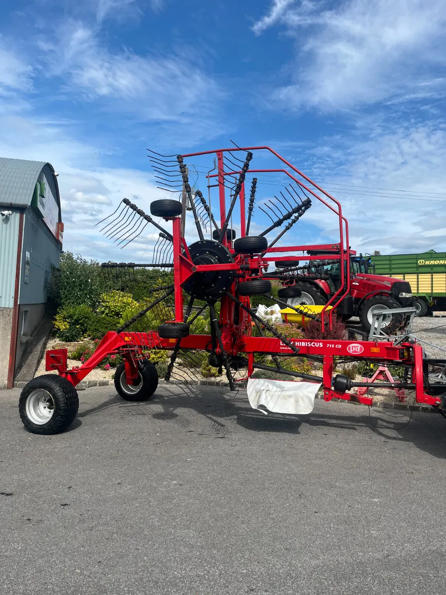 Lely Hibiscus 715 CD - Image 2