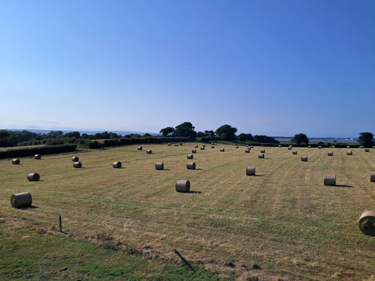 ✳️Top Quality Hay and Haylage for sale✳️ - Image 2
