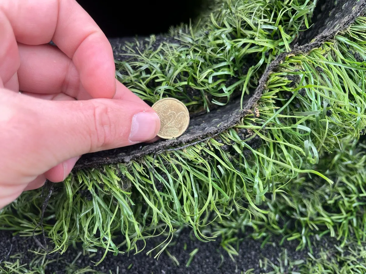 Astro turf cow paths - Image 4