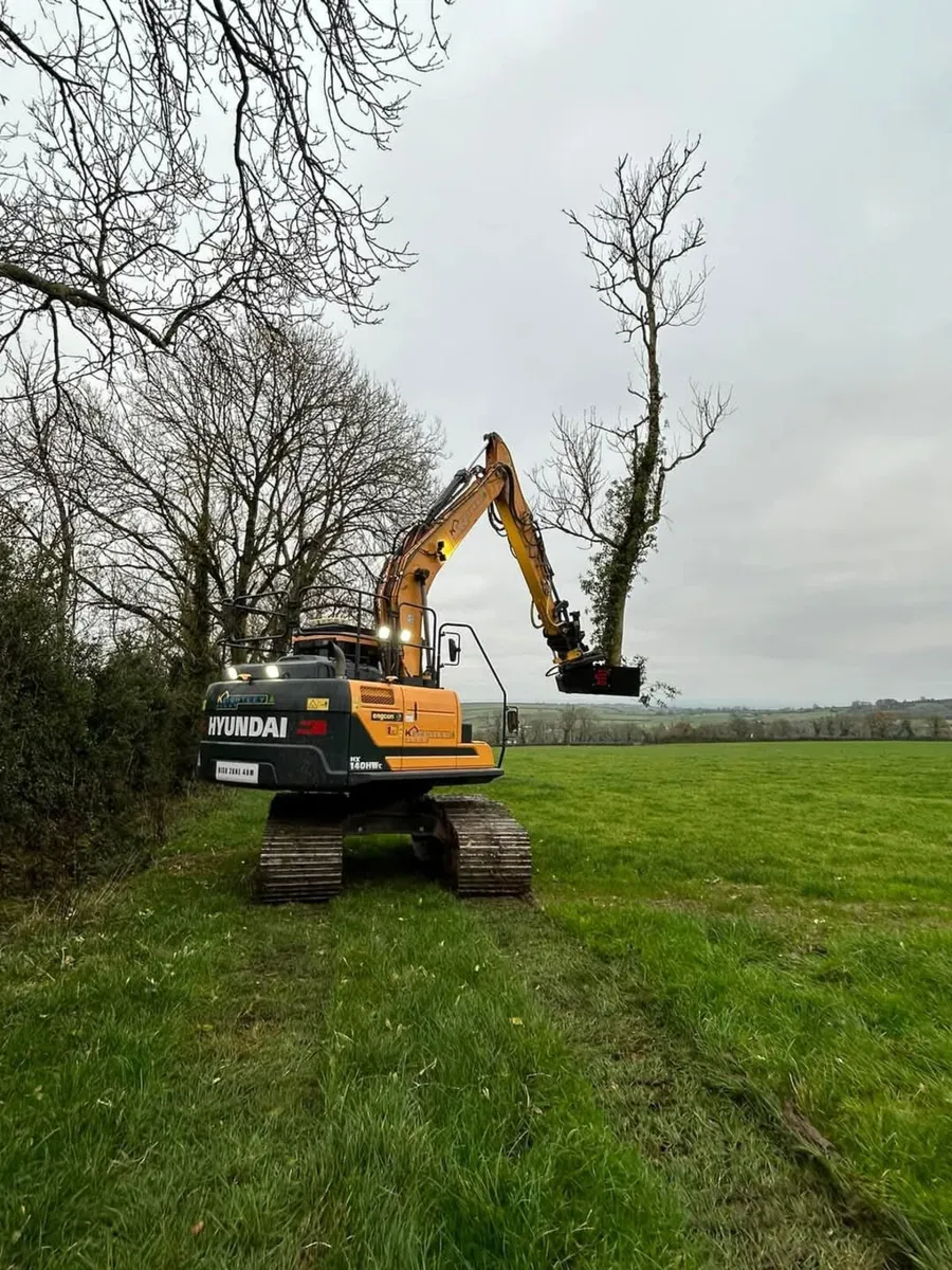 TREE SHEARS FOR 3 TON UP TO 30 TON EXCAVATORS - Image 3