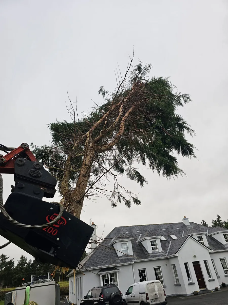 TREE SHEARS FOR 3 TON UP TO 30 TON EXCAVATORS - Image 4