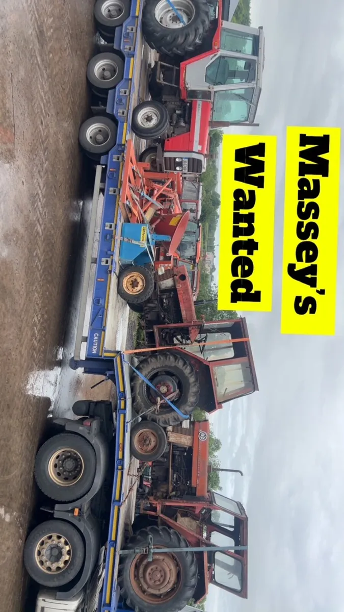 Wanted All Massey Ferguson Tractors - Image 2