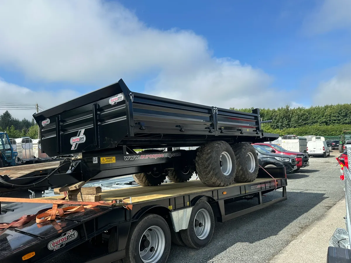Euro Spec Tipping Trailer - Image 3