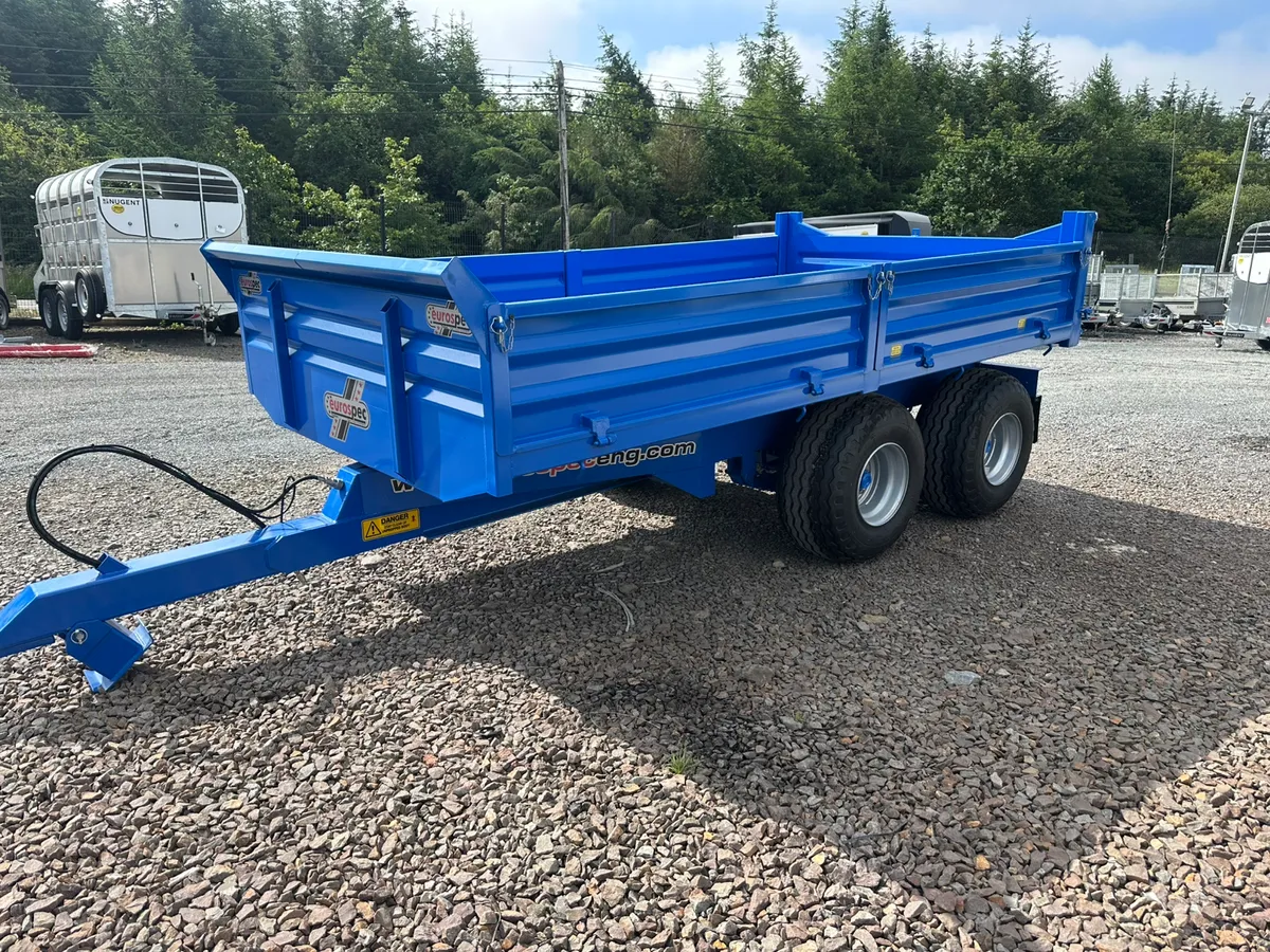 Eurospec Tipper Trailer - Image 2