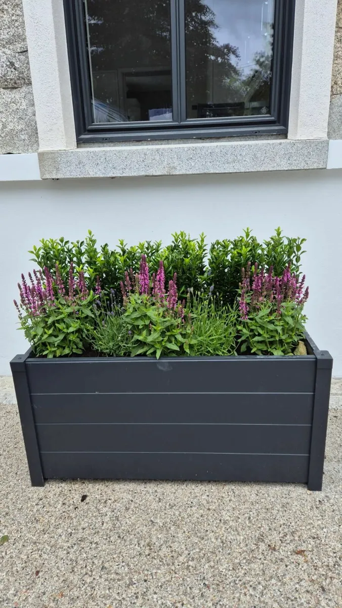 planters - Image 1