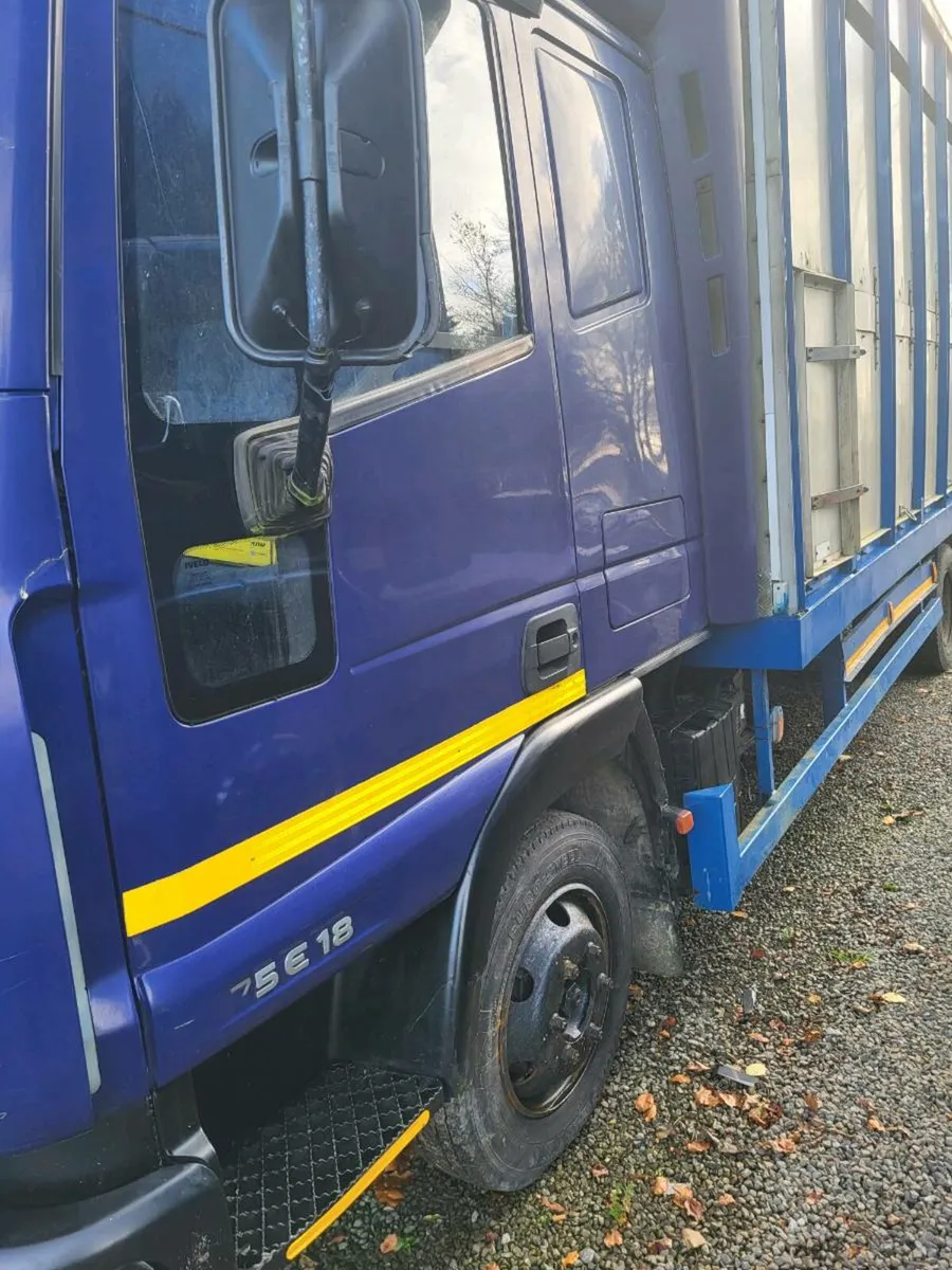 FORD IVECO LIVE STOCK LORRY 7.5 TON . 75 E 18 - Image 3