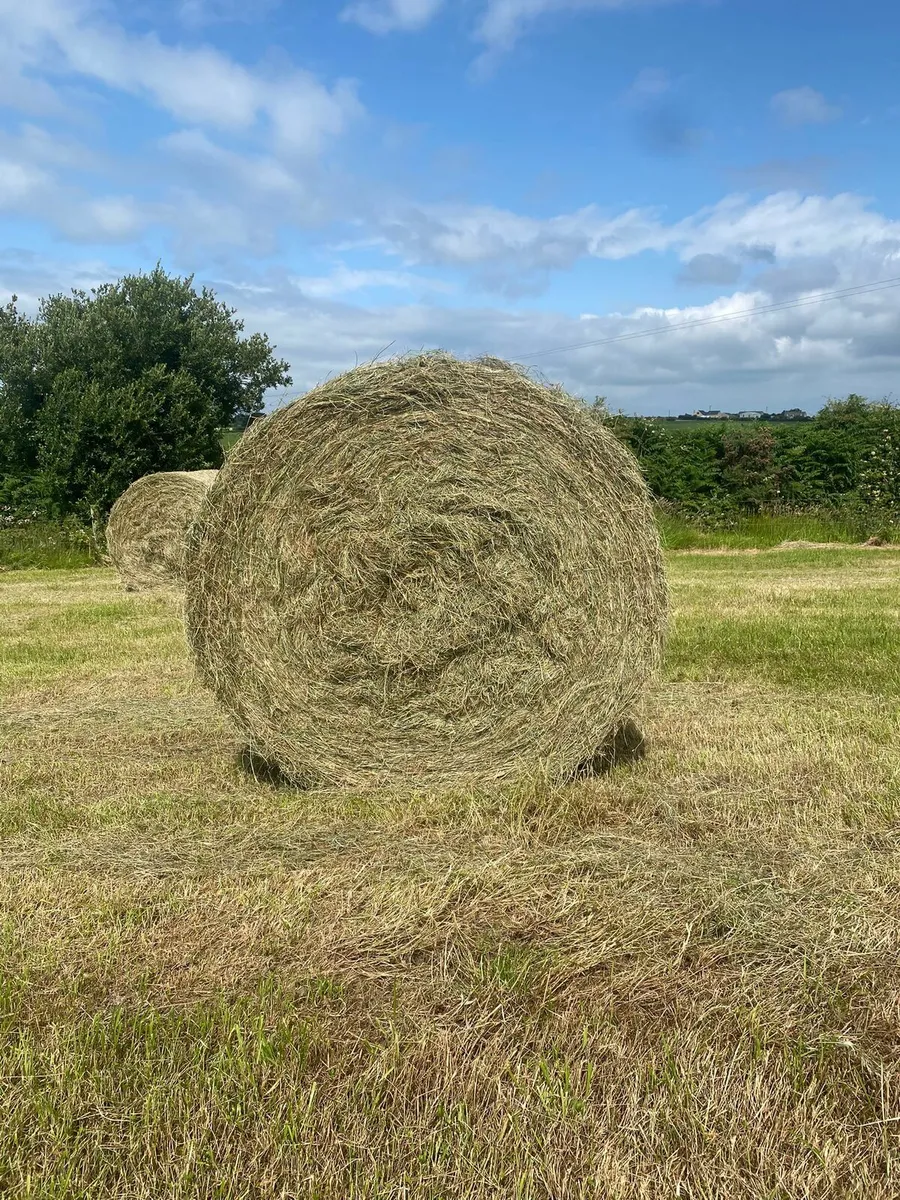 Good Quality Hay For Sale Listowel Area - Image 1