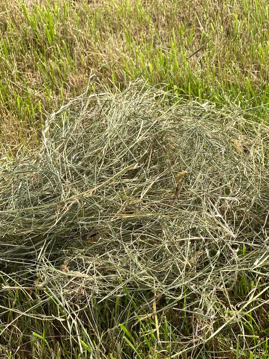 Good Quality Hay For Sale Listowel Area - Image 2