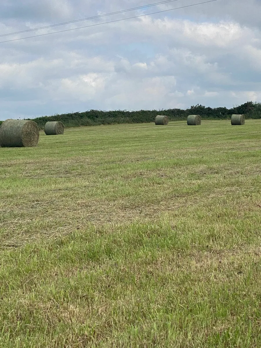Good Quality Hay For Sale Listowel Area - Image 3