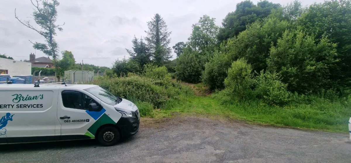 Filling  -  free - Image 2