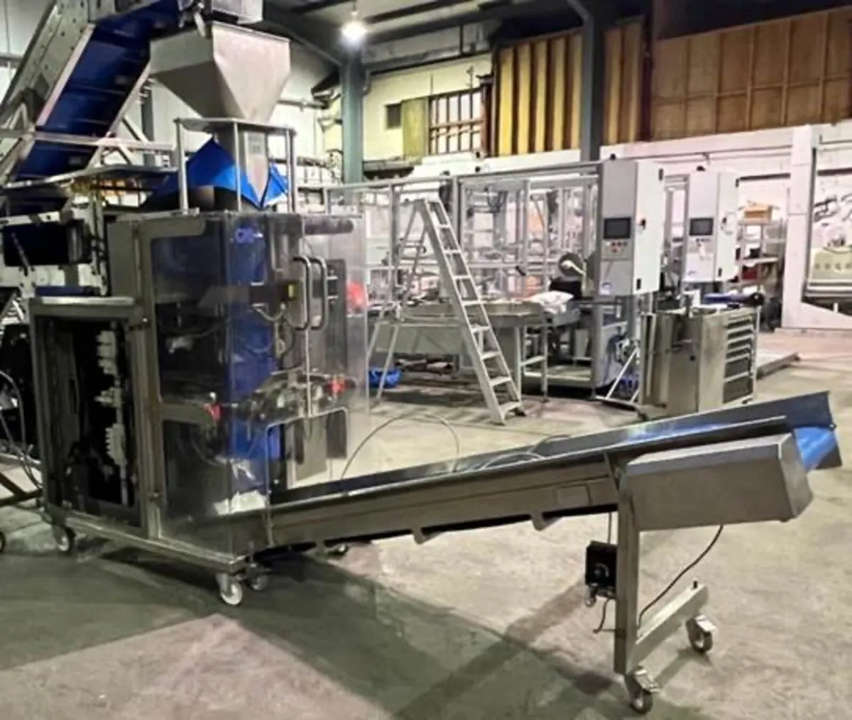 VFFS Bagger Conveyor Conveyors Gainsborough - Image 4