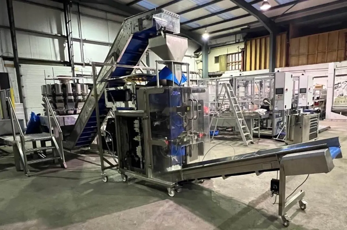 Conveyor Conveyors Multihead Weigher VFFS - Image 1