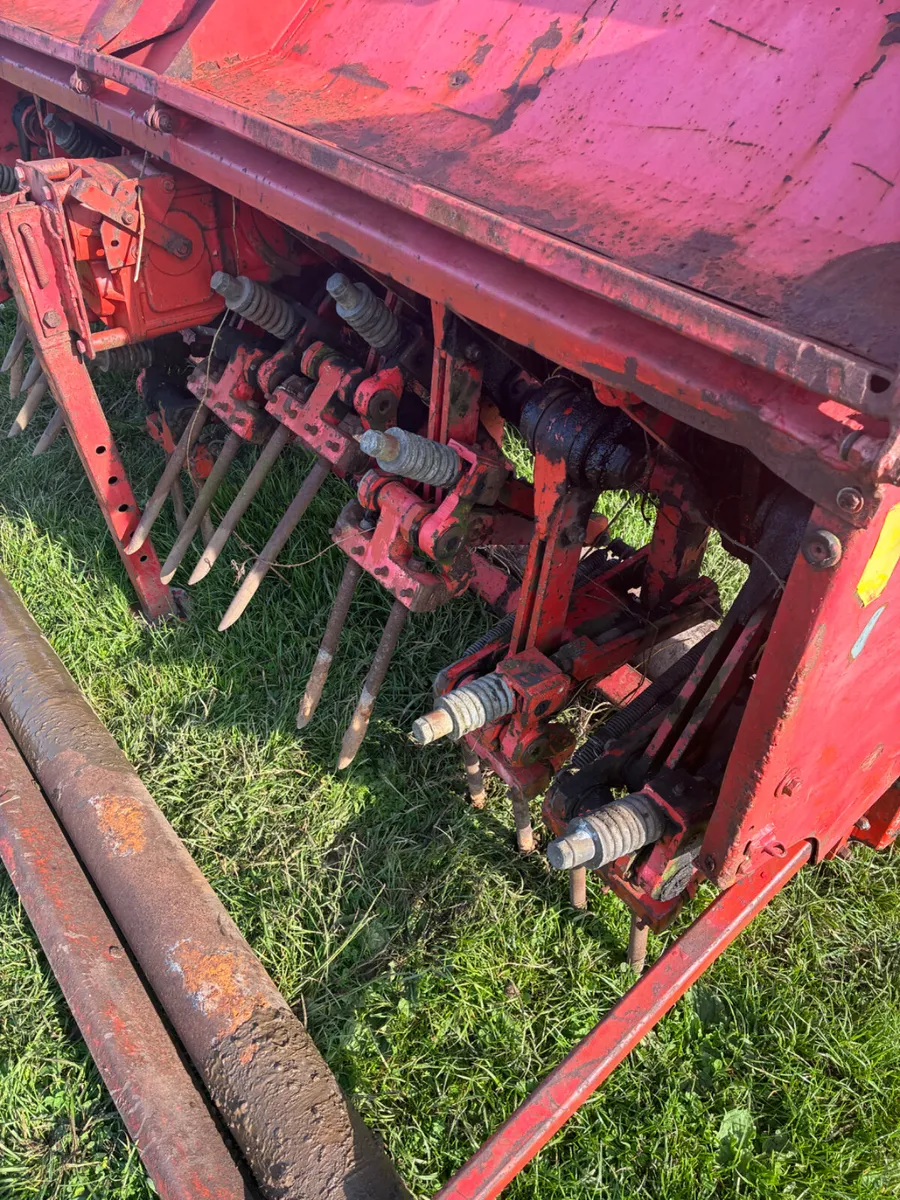 Wiedemann terraspike 8pL - Image 3