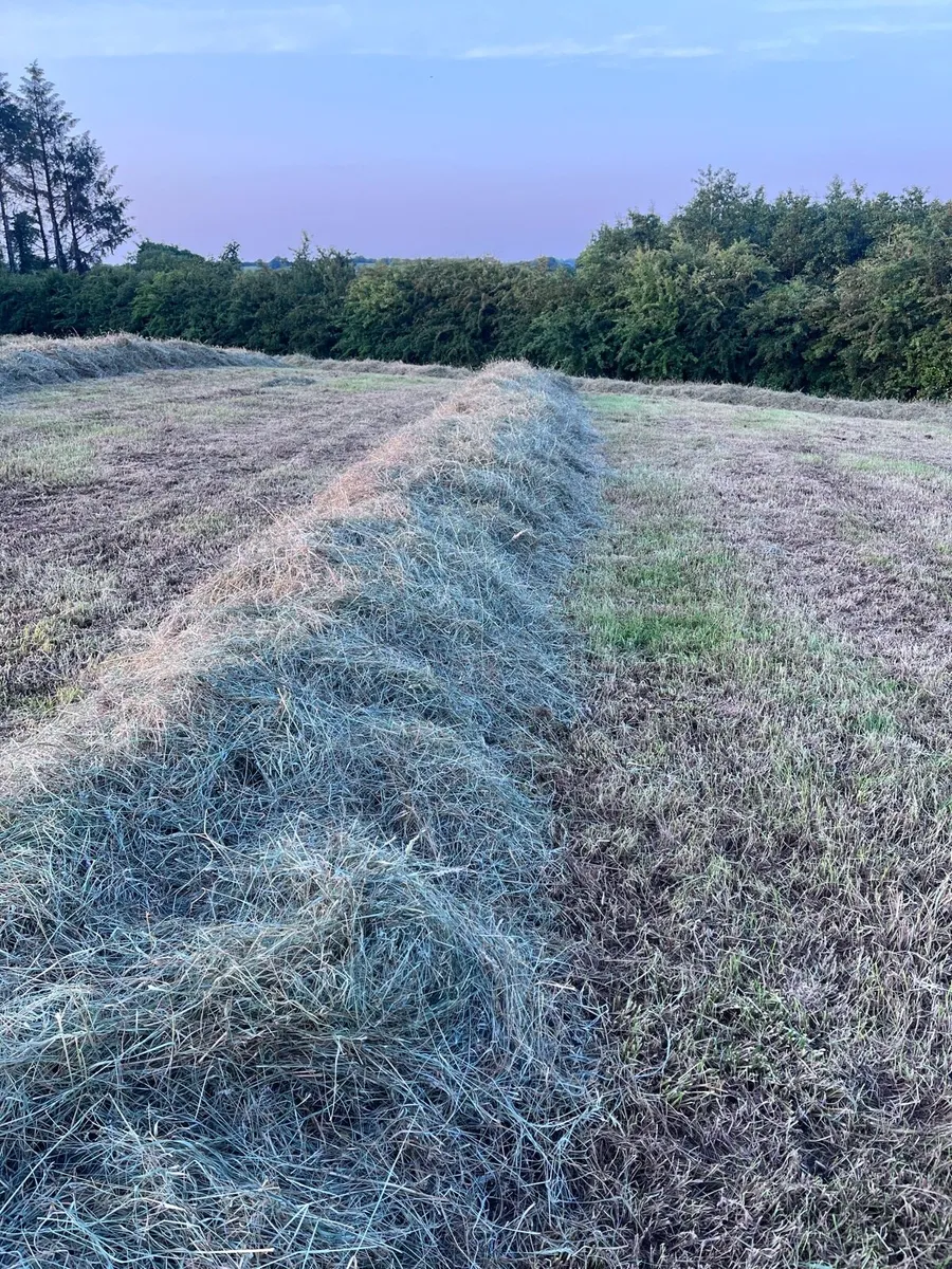 Bales of haylage - Image 1