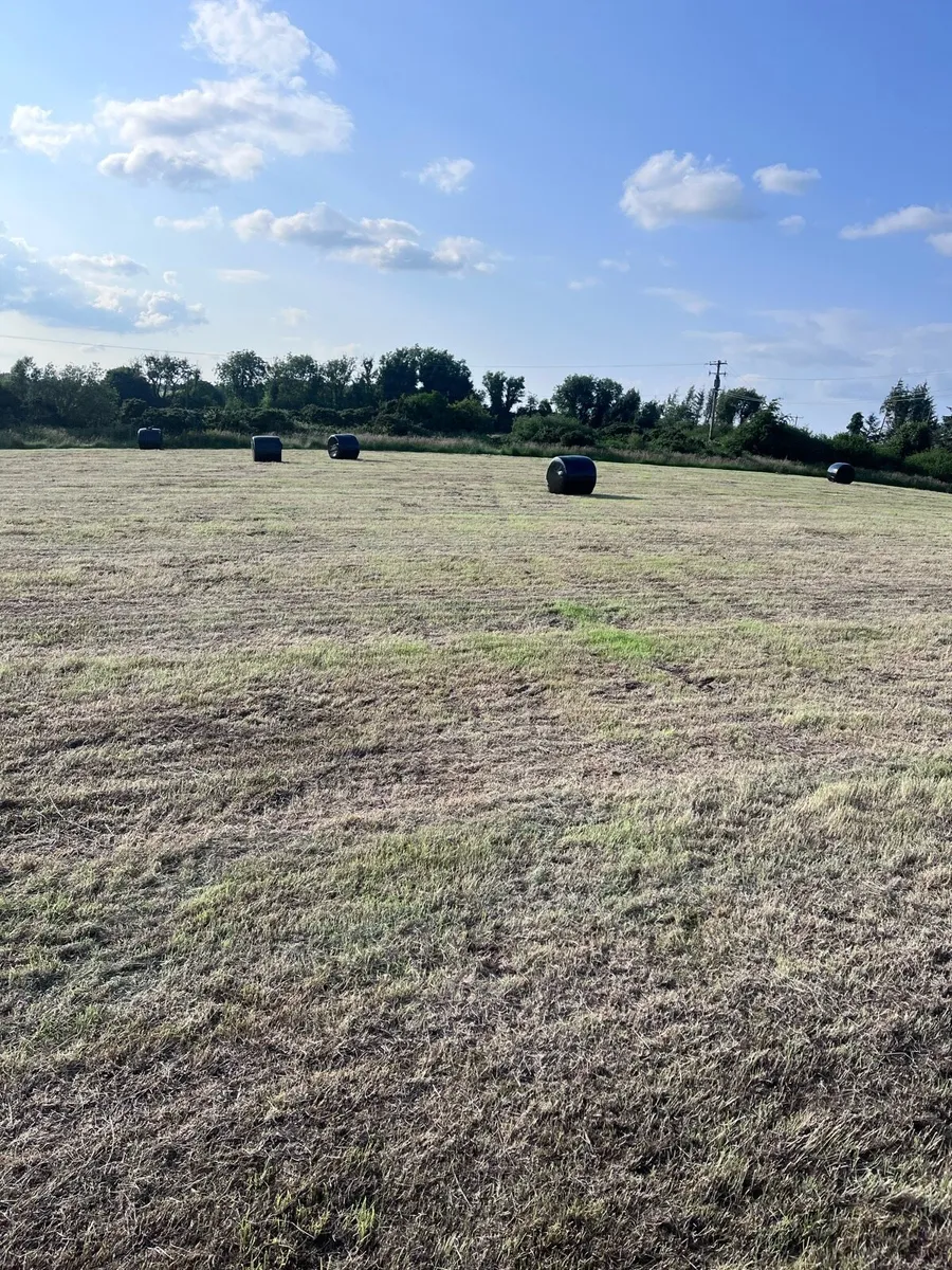 Bales of haylage - Image 3