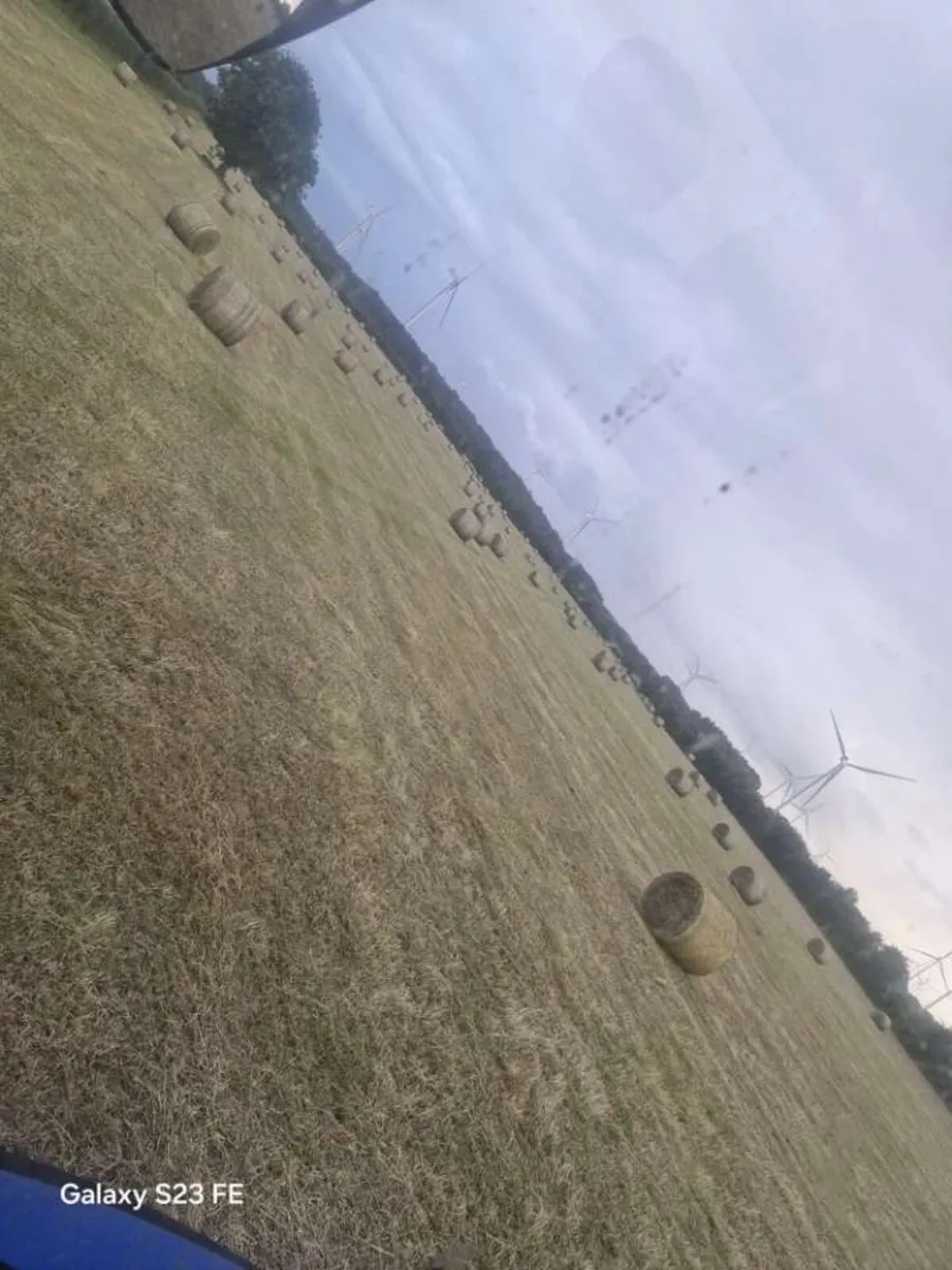 💥 GOOD QUALITY HAY, HAYLAGE, SILAGE 💥 - Image 2