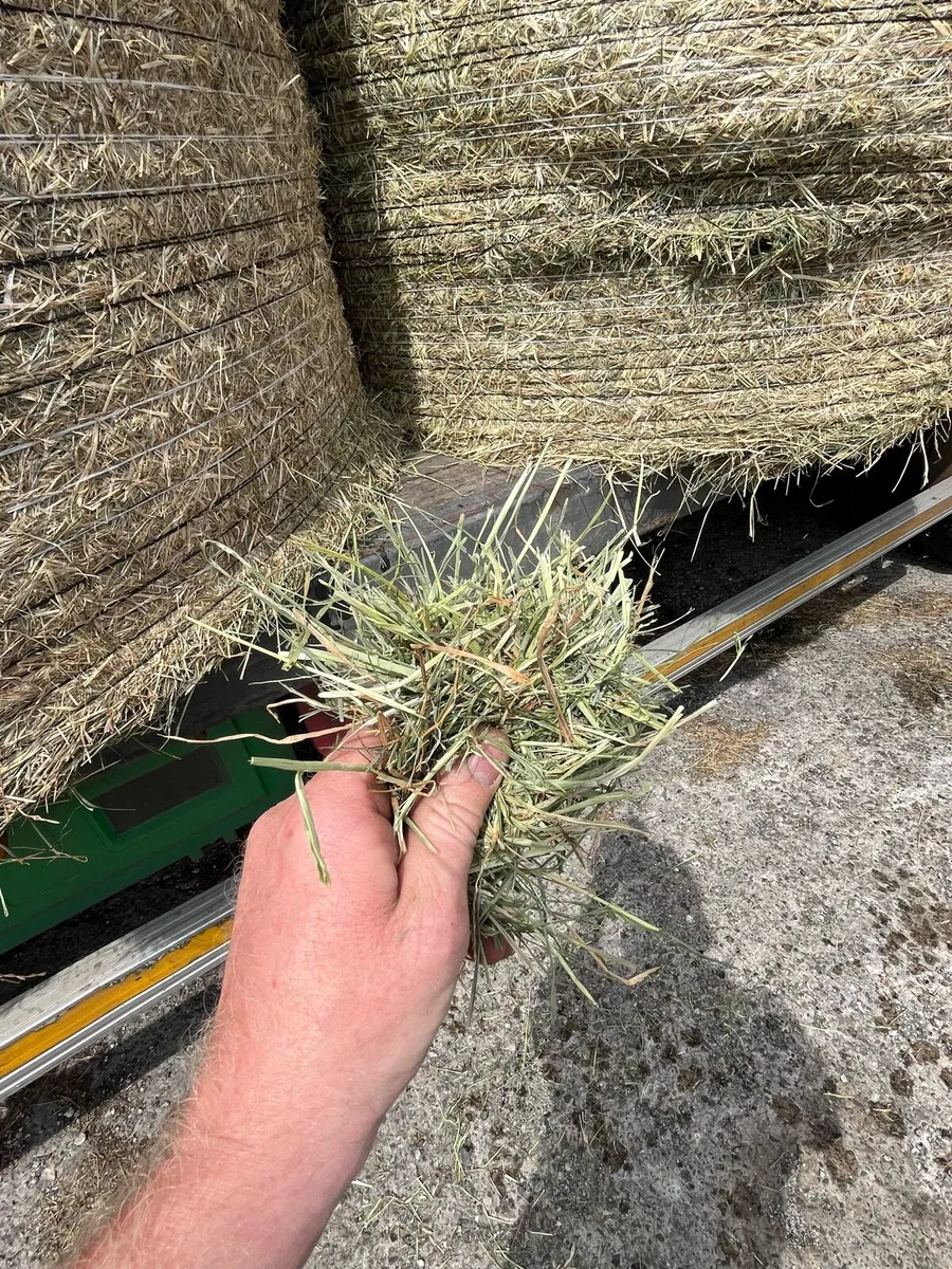 Rigid Lorry loads of Hay Delivered North and South - Image 1
