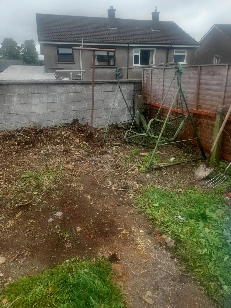 Man with Van - Image 4