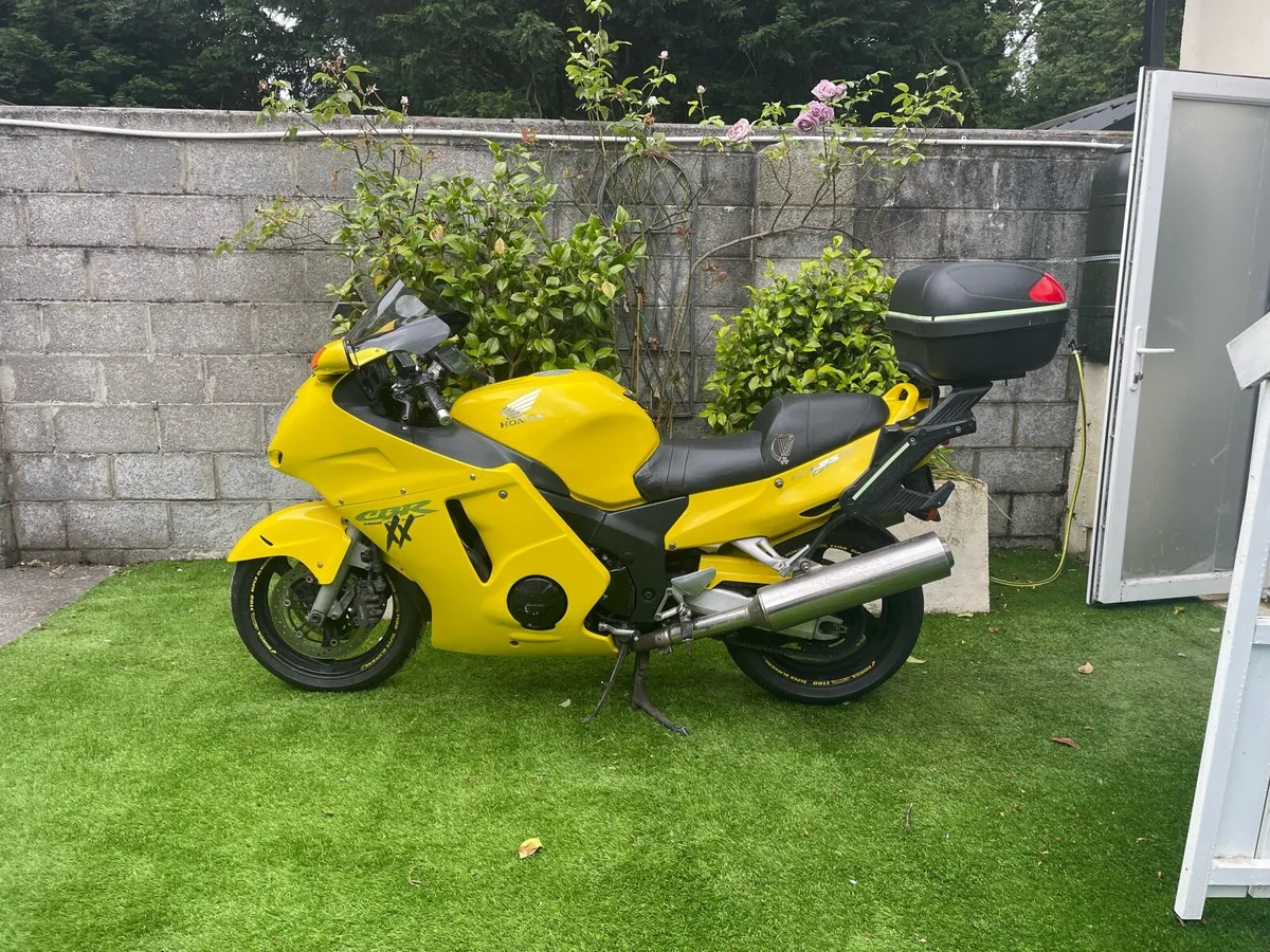 Honda CBR Blackbird - Image 1