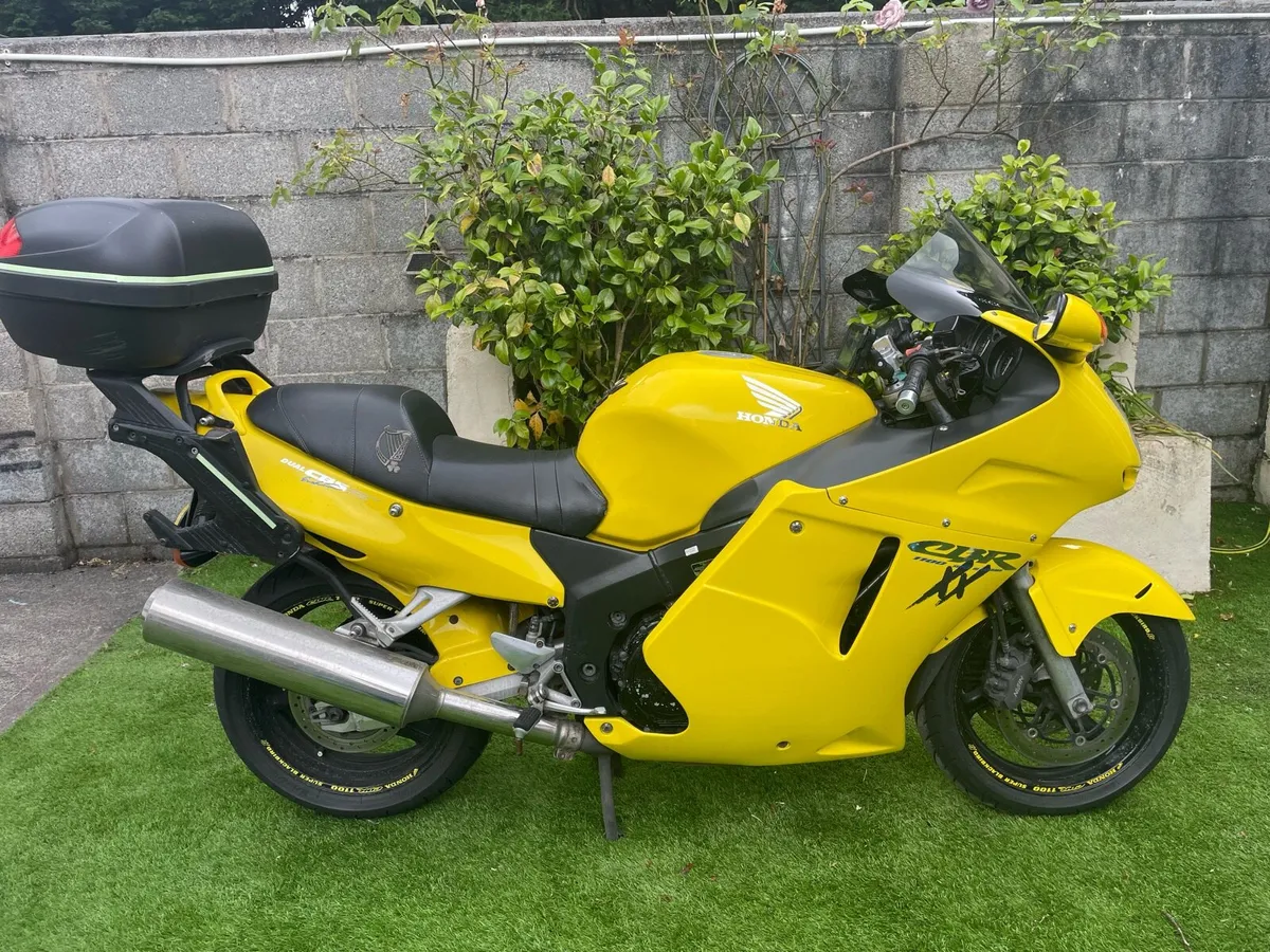 Honda CBR Blackbird - Image 2