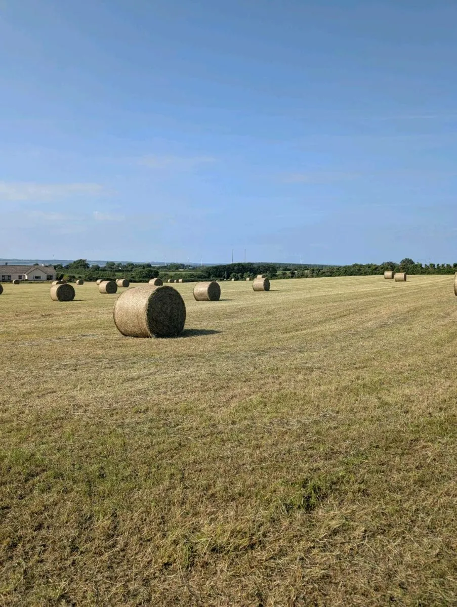 Round Hay - Image 1