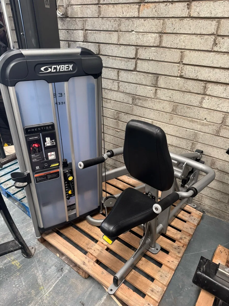 Cybex prestige seated tricep dip - Image 1