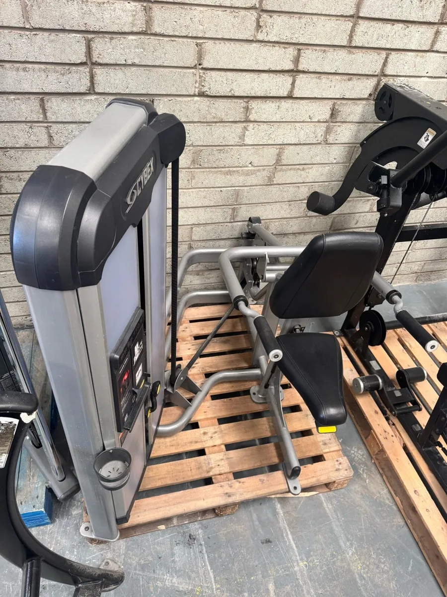 Cybex prestige seated tricep dip - Image 2