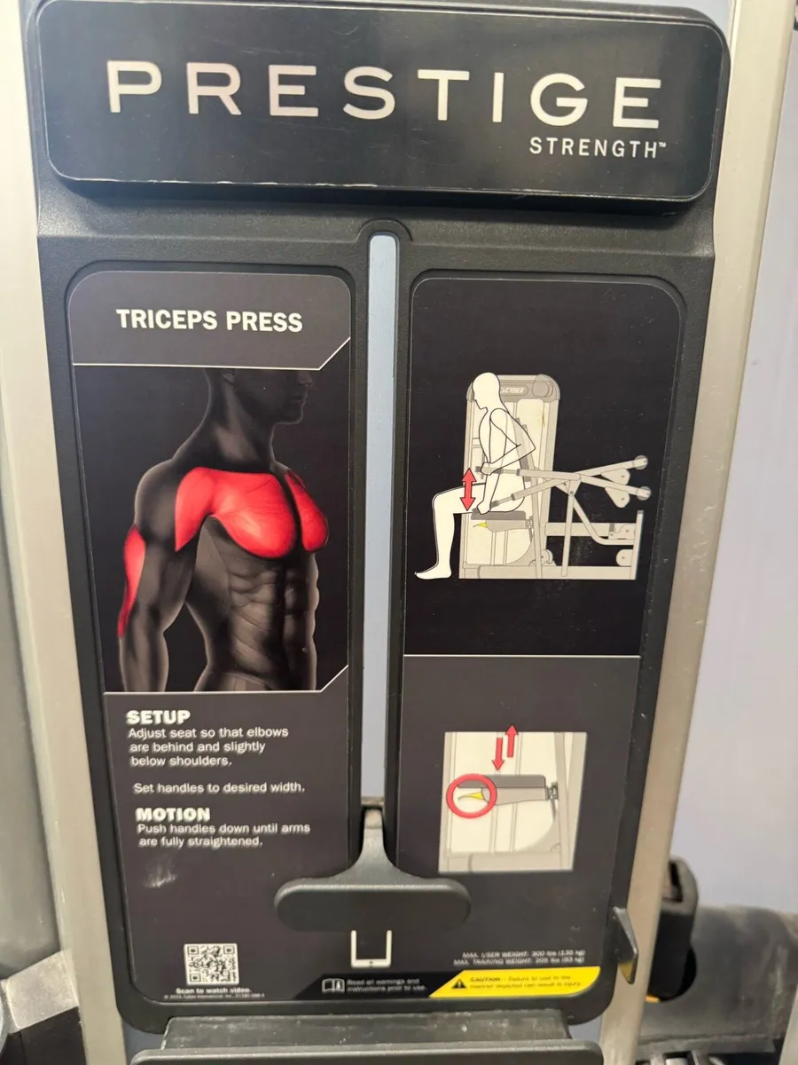 Cybex prestige seated tricep dip - Image 3