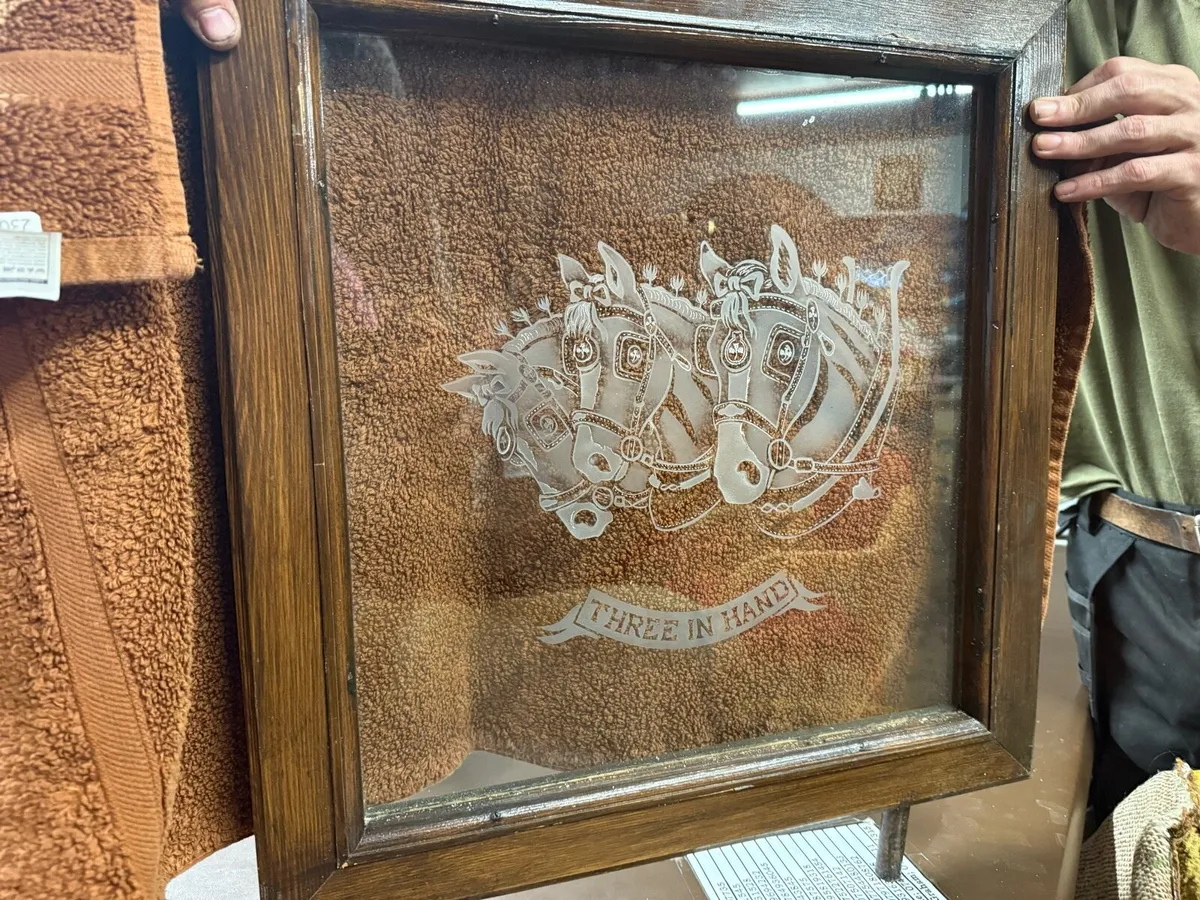 Horse themed etched glass windows . Collection. - Image 3