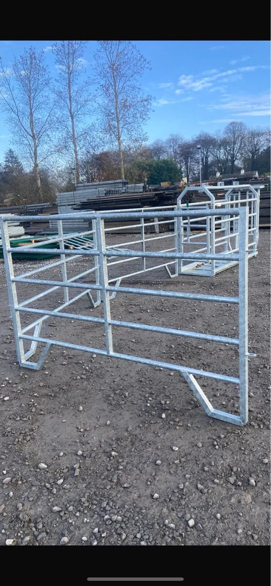 Cattle Hurdles - Image 2