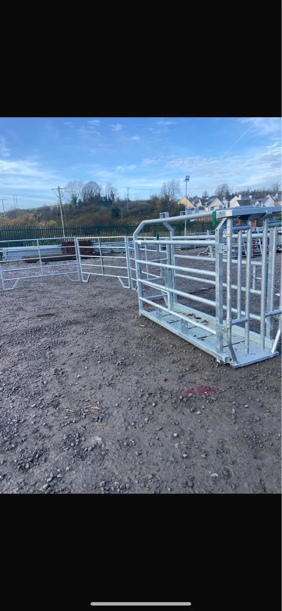 Cattle Hurdles - Image 3