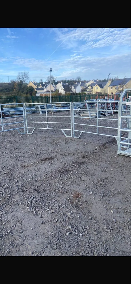 Cattle Hurdles - Image 4