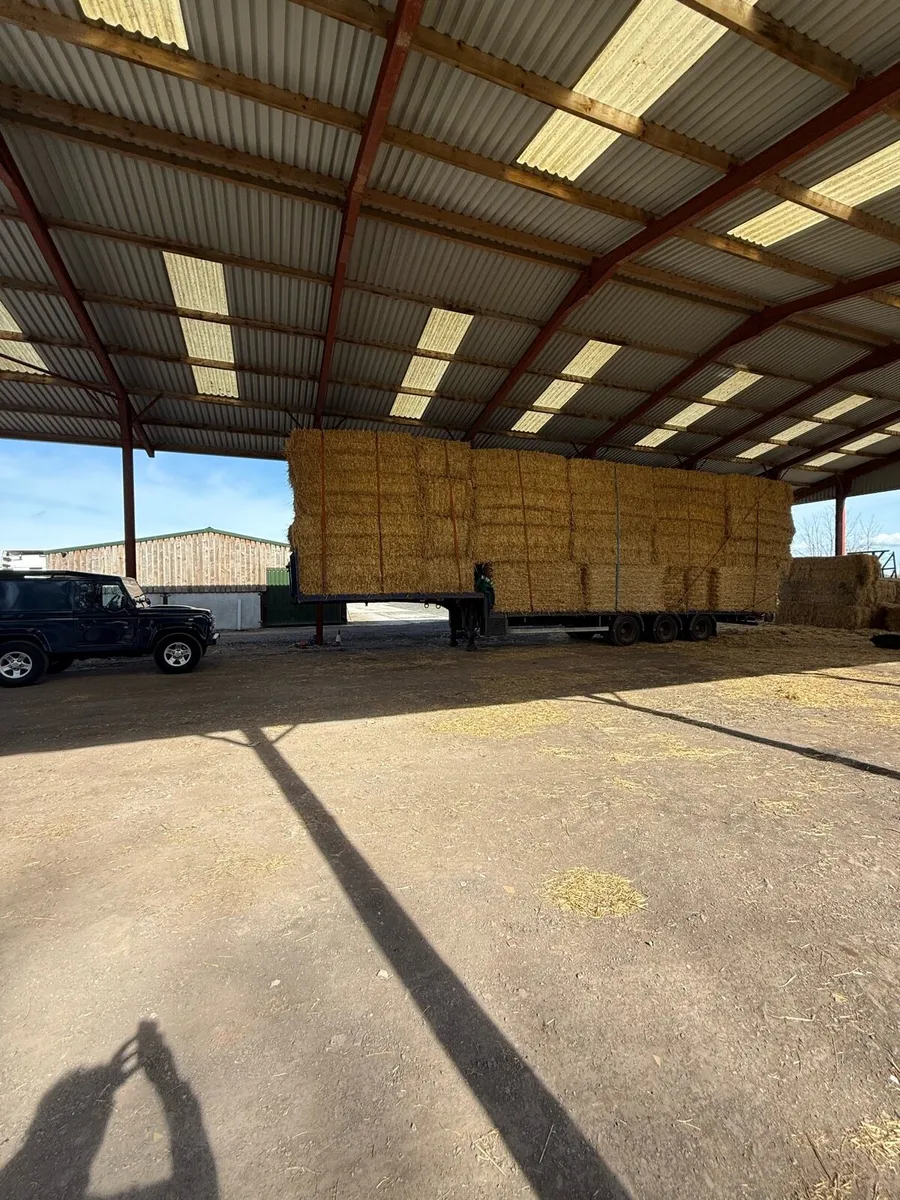 Now taking orders for straw over the winter - Image 2